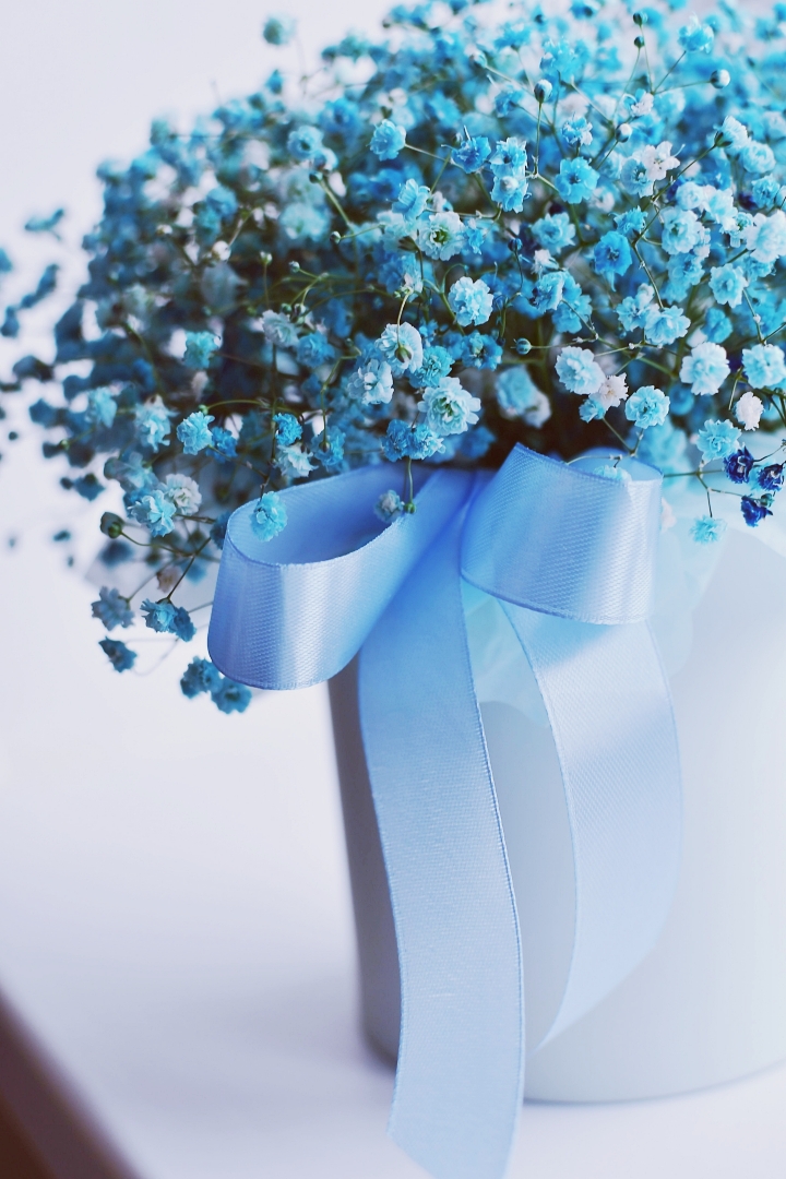 青い嵐のキーワード